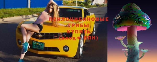 гашик Тавда