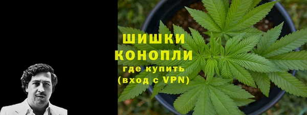гашик Тавда