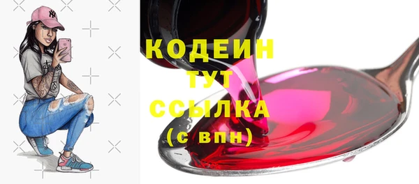 гашик Тавда