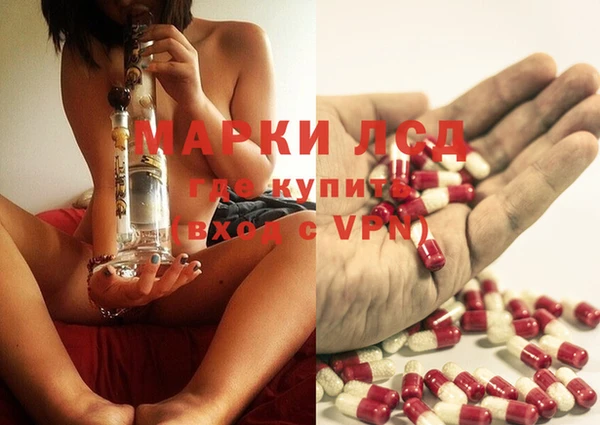 прущая мука Тайга