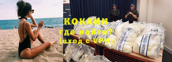 гашик Тавда