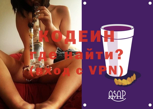 гашик Тавда