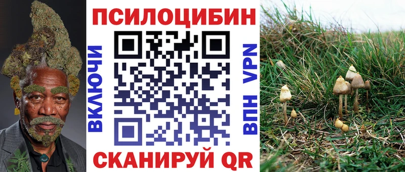 Псилоцибиновые грибы Psilocybe  Анадырь 